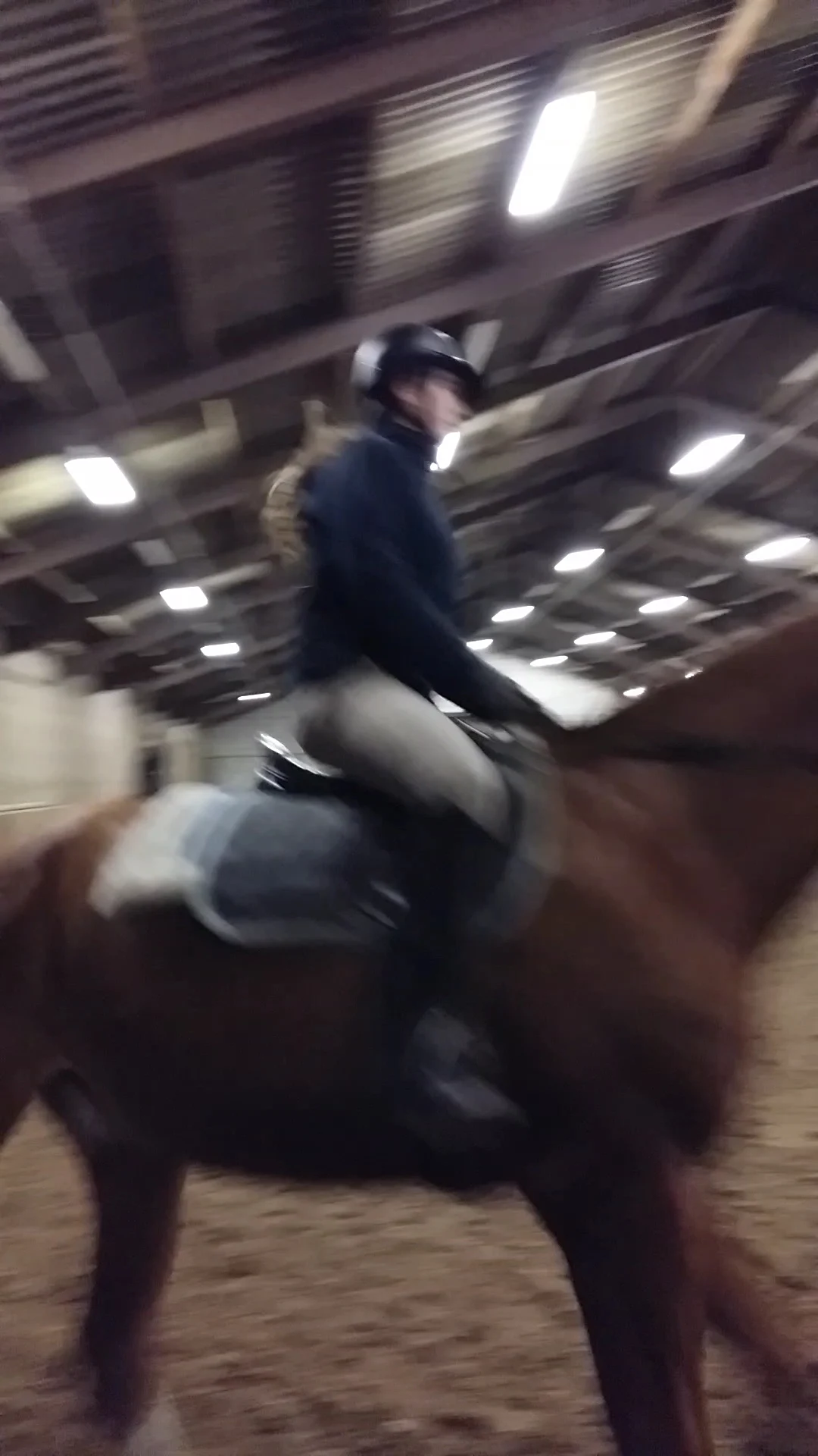 Manege Sonniushof - 3