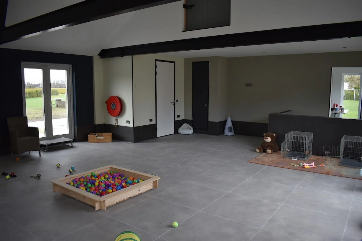 Max DayCare - 2