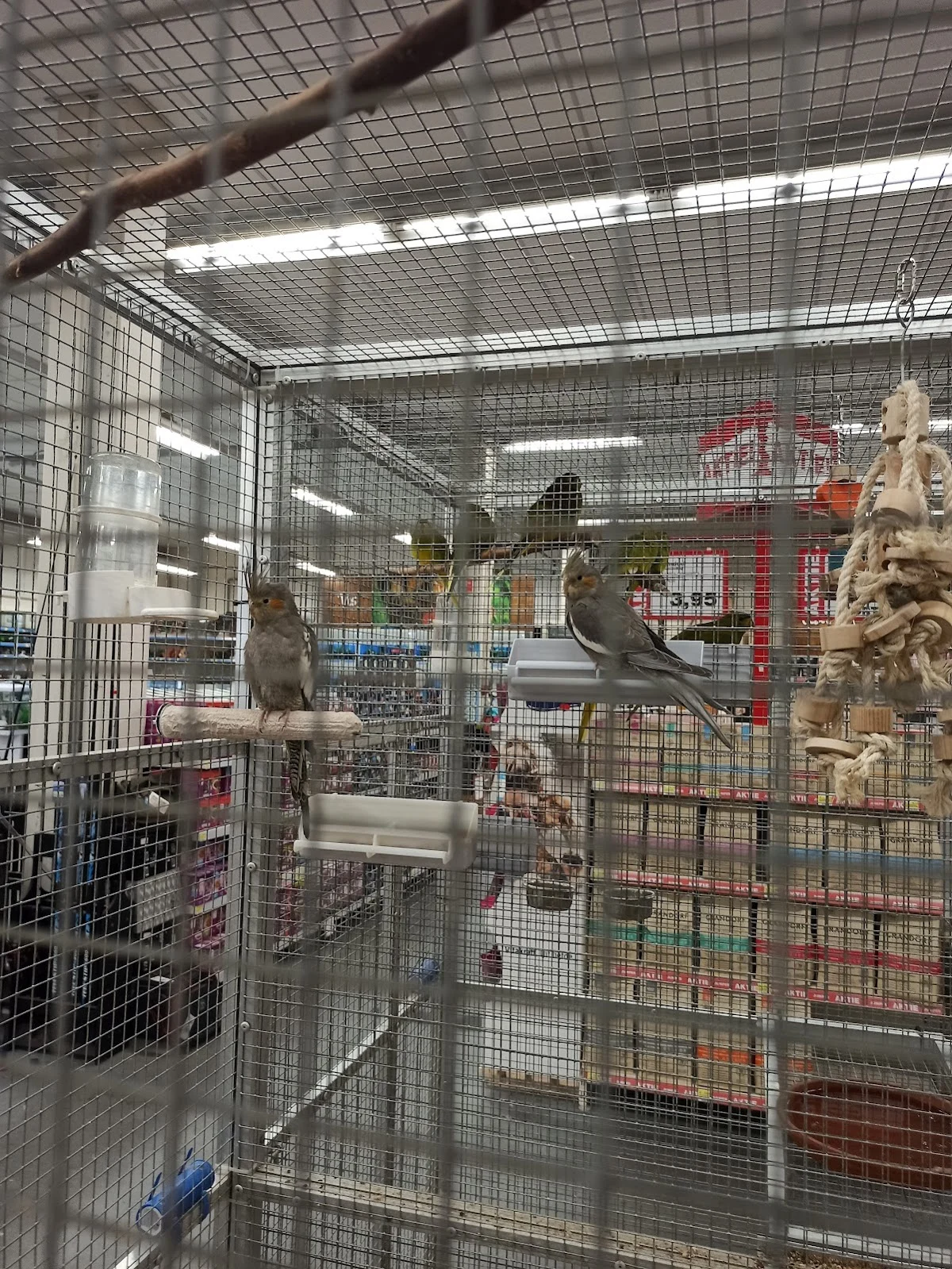 Maxi Zoo Amersfoort - 3