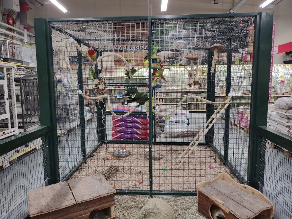 Maxi Zoo Utrecht - 4
