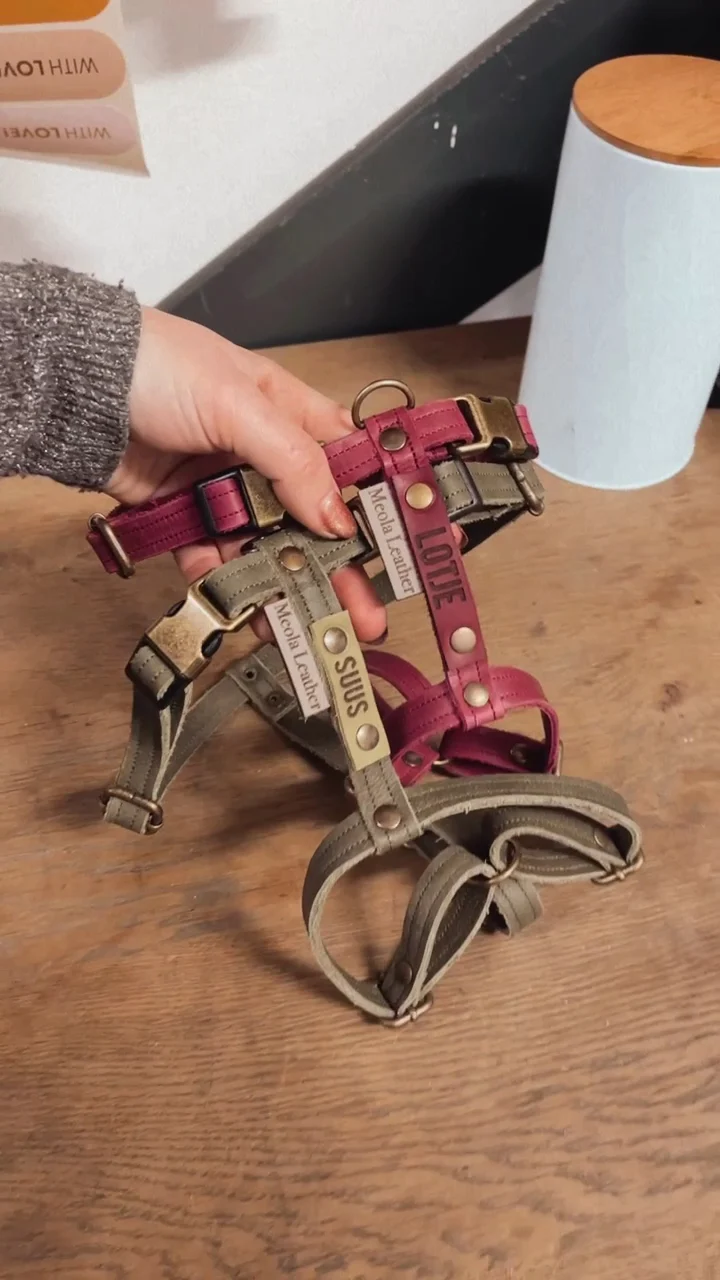 Meola Leather Dogs - 3