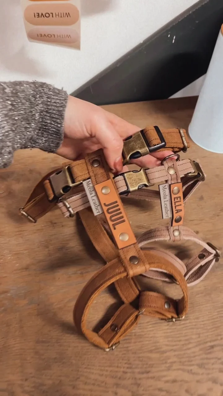 Meola Leather Dogs - 4