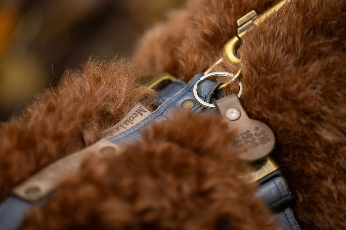 Meola Leather Dogs - 5
