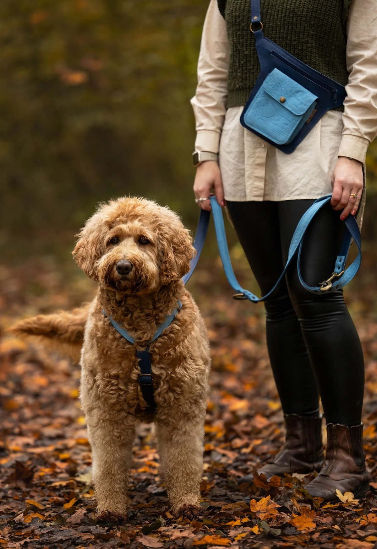 Meola Leather Dogs