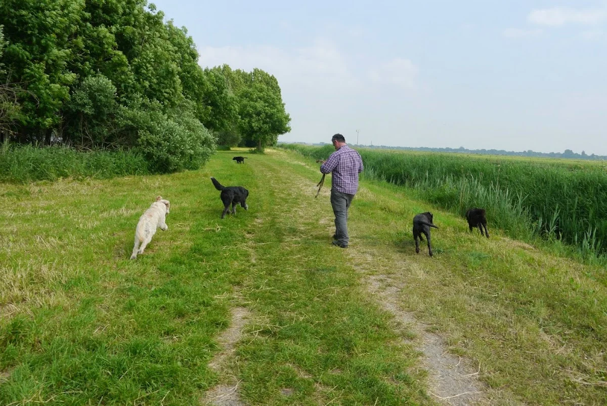 Mick's Hondenuitlaatservice en Dierenverzorging