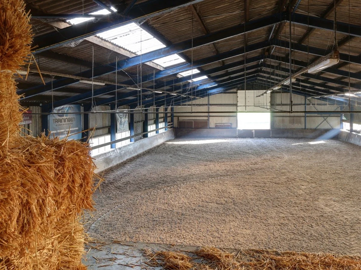 Mivadami Pensionstal, Paardencoaching & Dagbesteding - 2