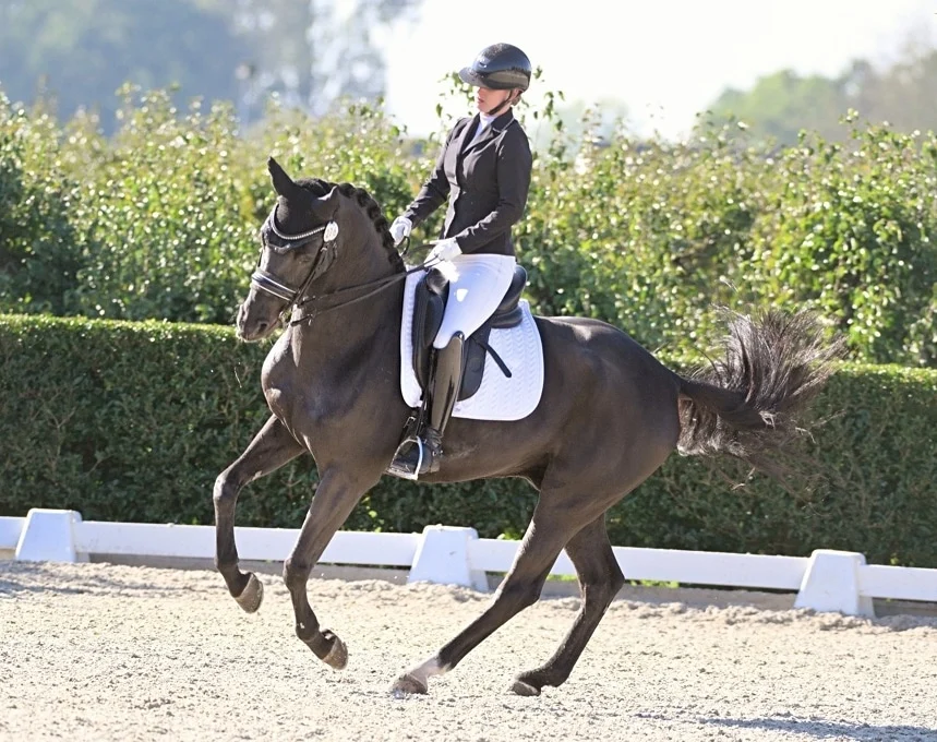 MT Equestrian Sport
