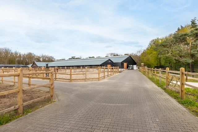 Next Level stables