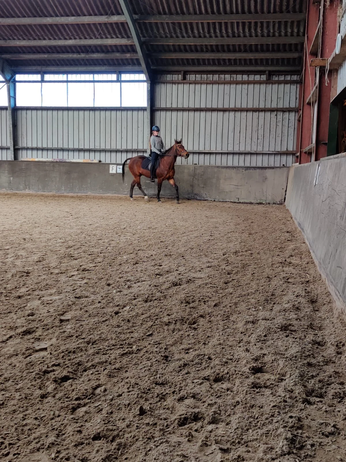 Paarden Pension Fleur Stables