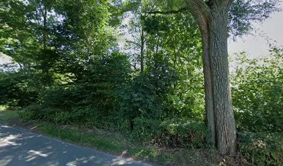 Paardenhouderij De Volte