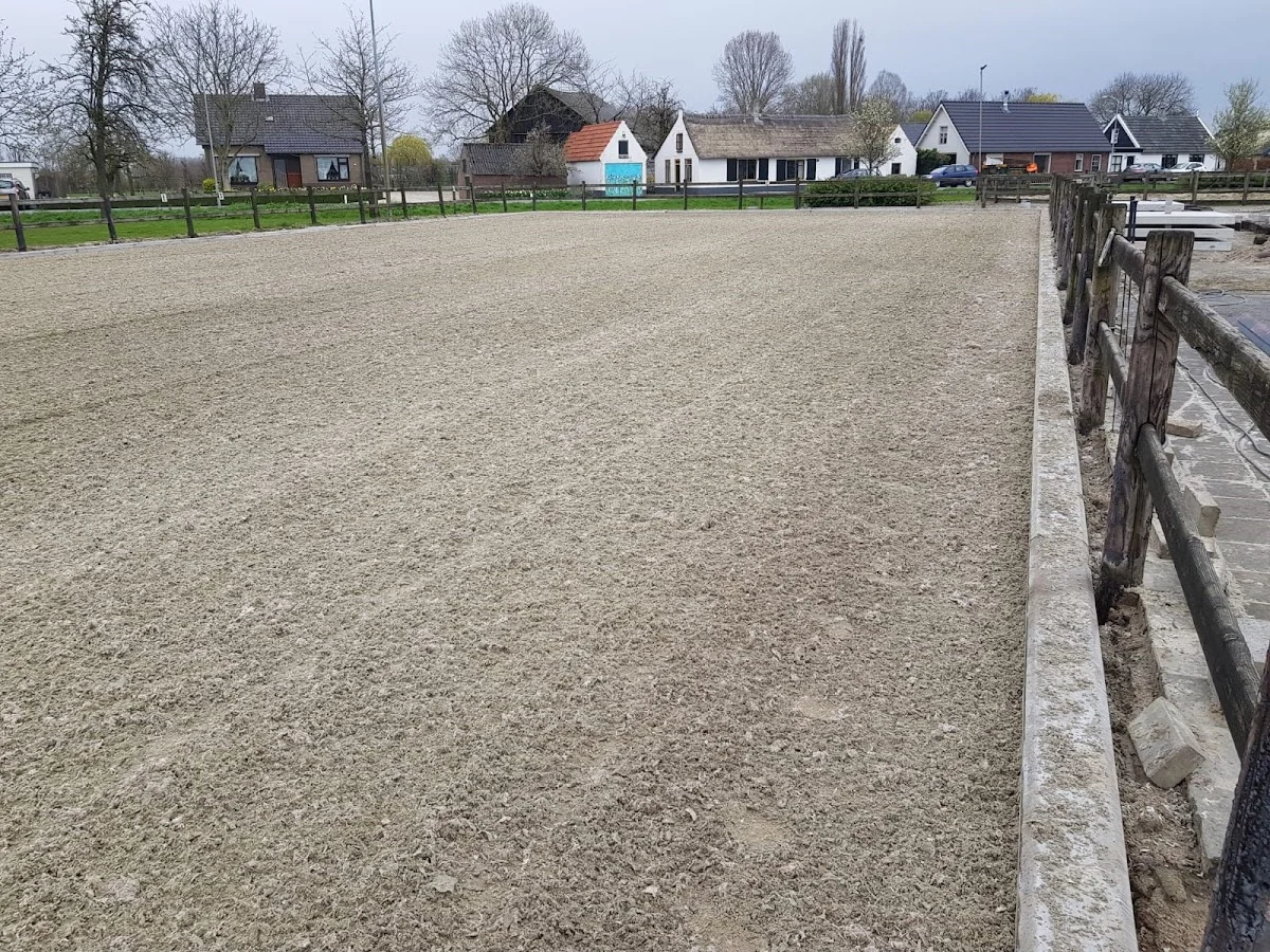 Paardensportvereniging De Bommelerwaard 🐎 - 2