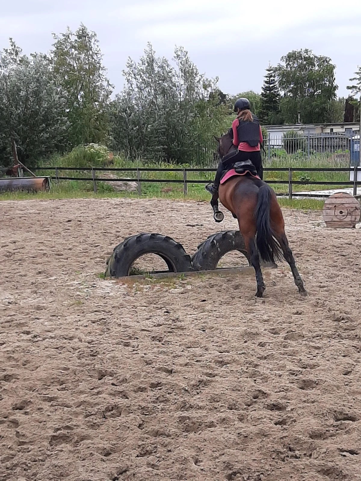 Paardensportvereniging De Zuidplasruiters