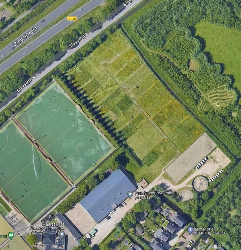 Paardensportvereniging Marsua - 2