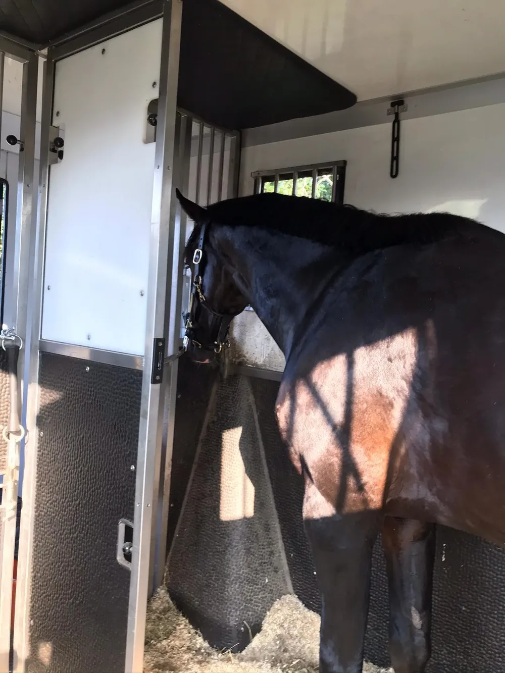 Paardentaxi 't gooi - 2