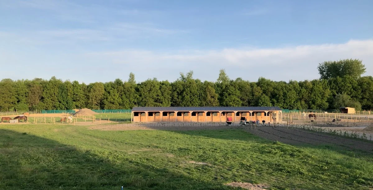 Paddock Paradise Almere