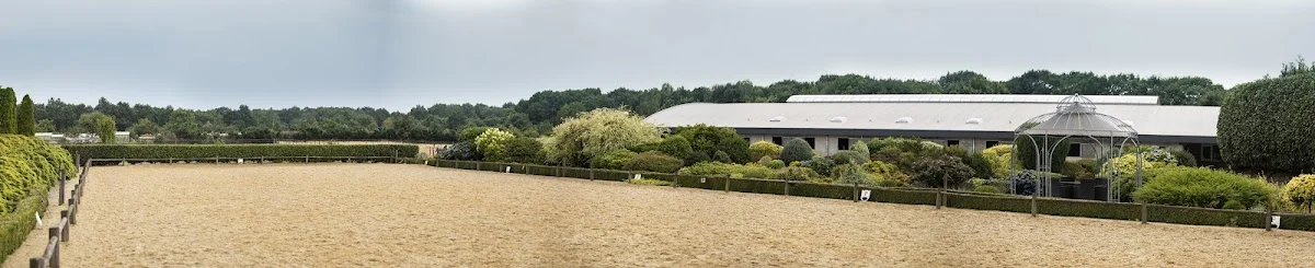 Pension- en Dressuurstal "De Oude Meerdijk"