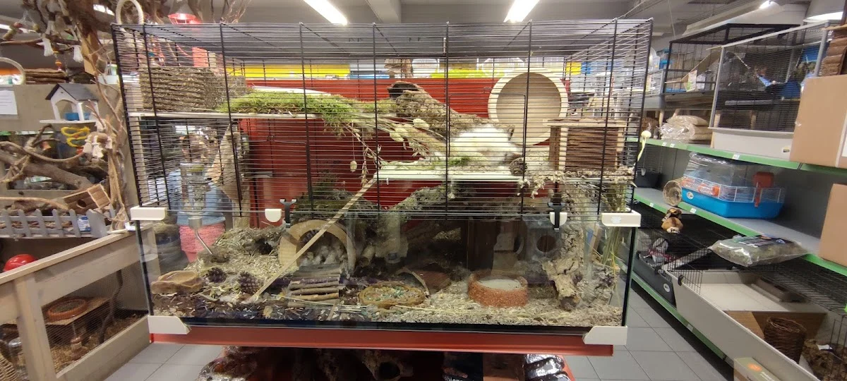 Pets Place - 2