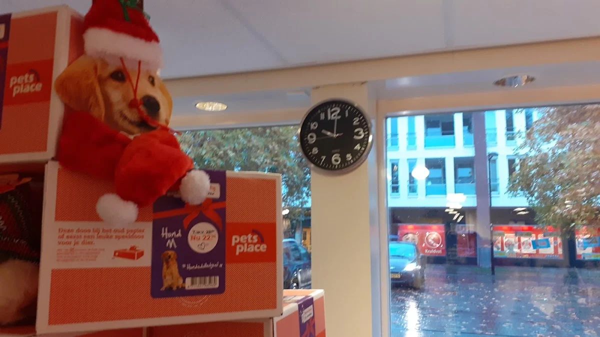 Pets Place - 2