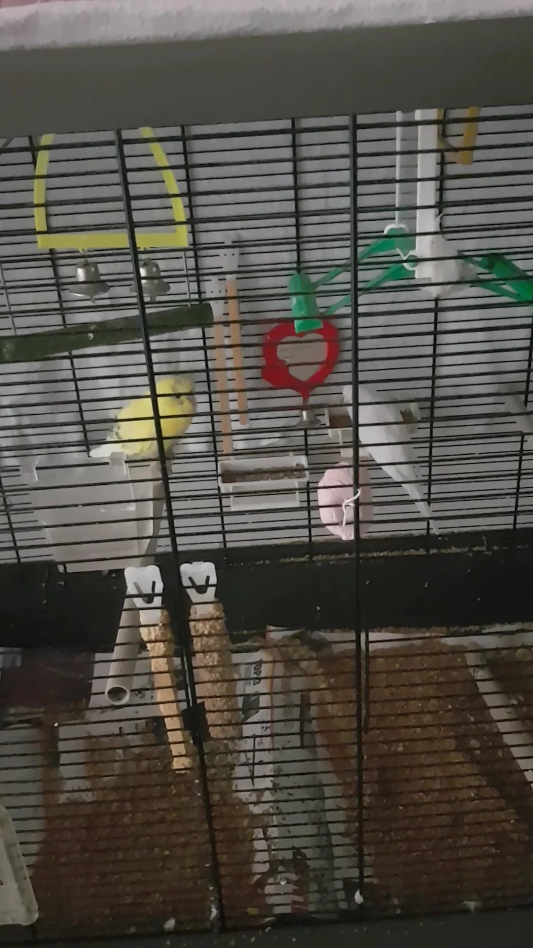 Pets Place - 3