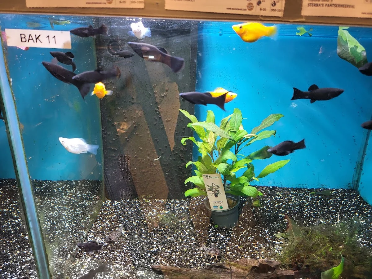 Pets Place - 4