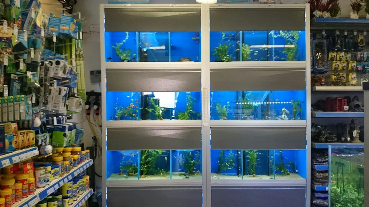 Pets Place 🐾 - 2