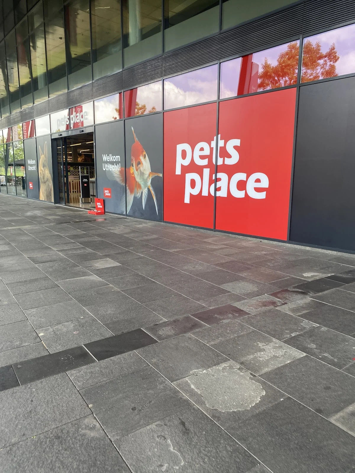 Pets Place The Wall