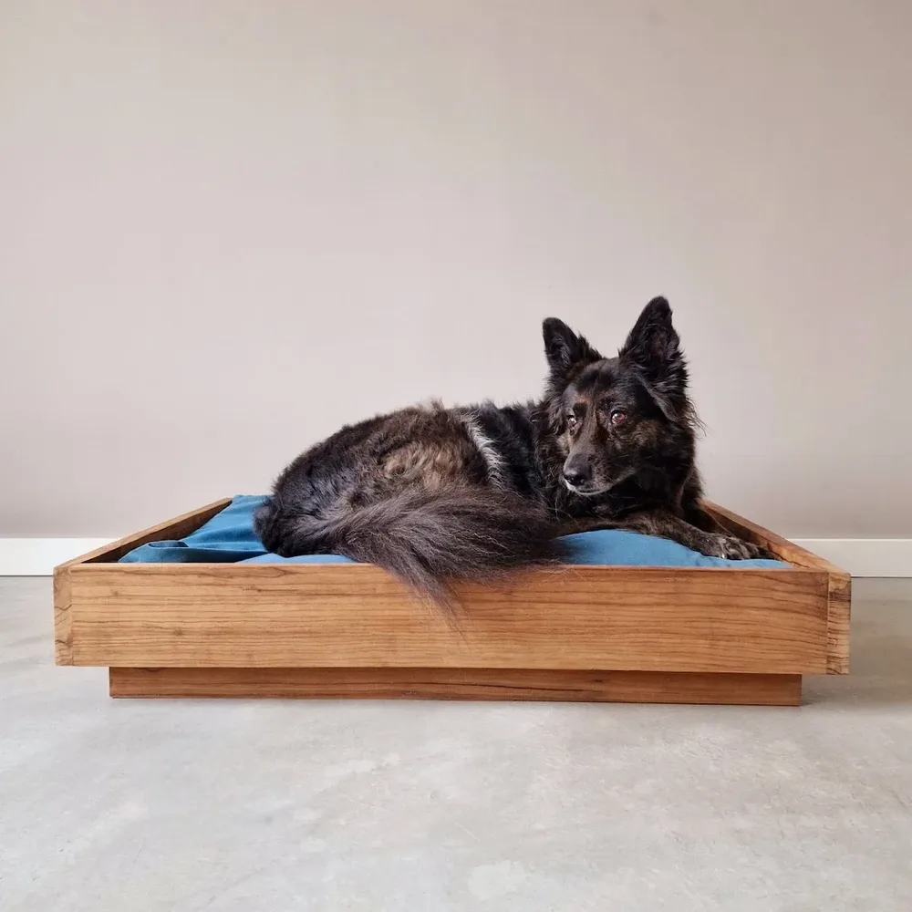 Pets&Beds