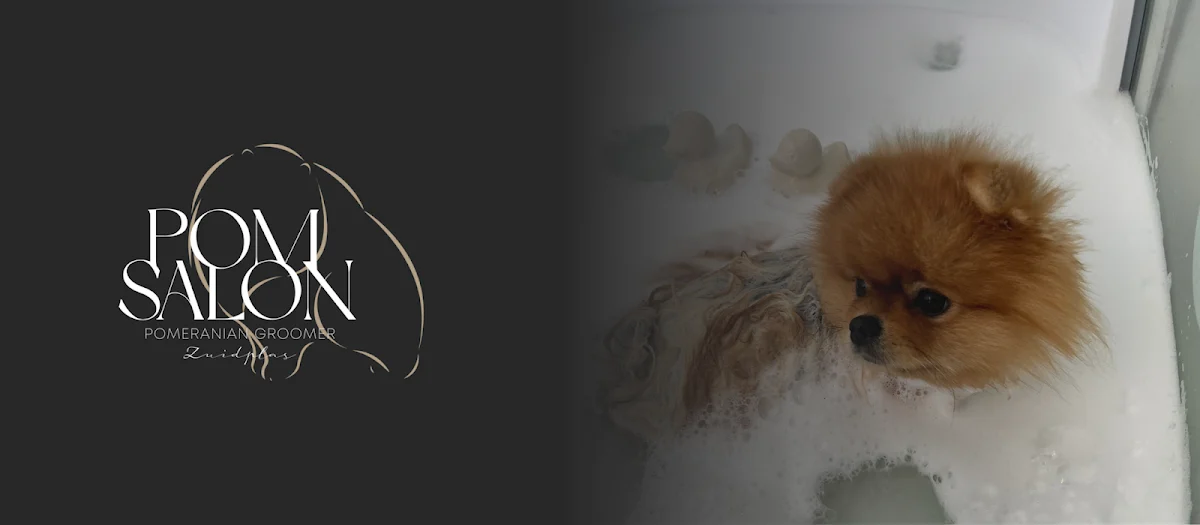 Pom Salon Zuidplas Rotterdam