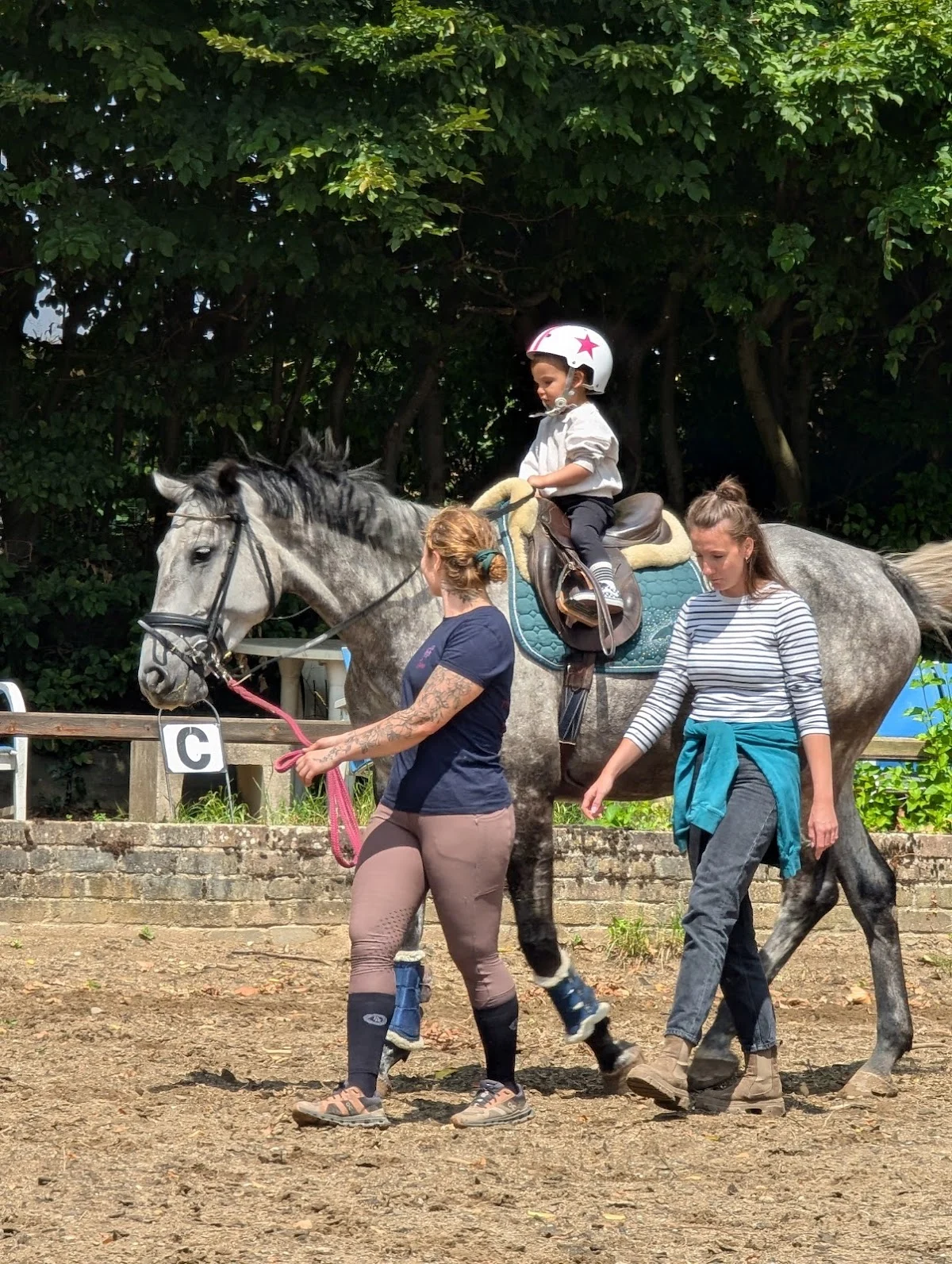 PUP Equestrian Center