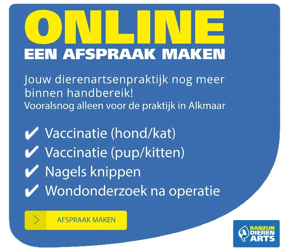 Ranzijn Dierenarts Alkmaar🐾🩺 - 2