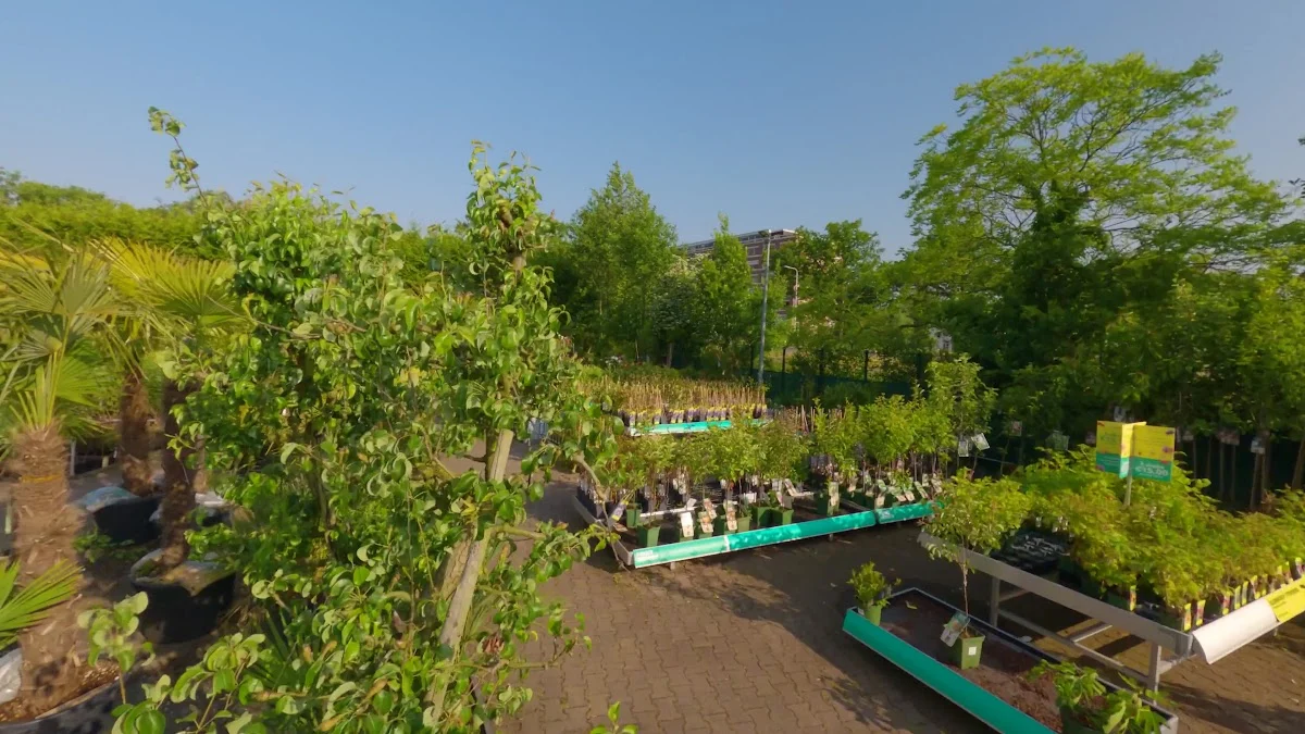 Ranzijn tuin & dier De Bilt - 3