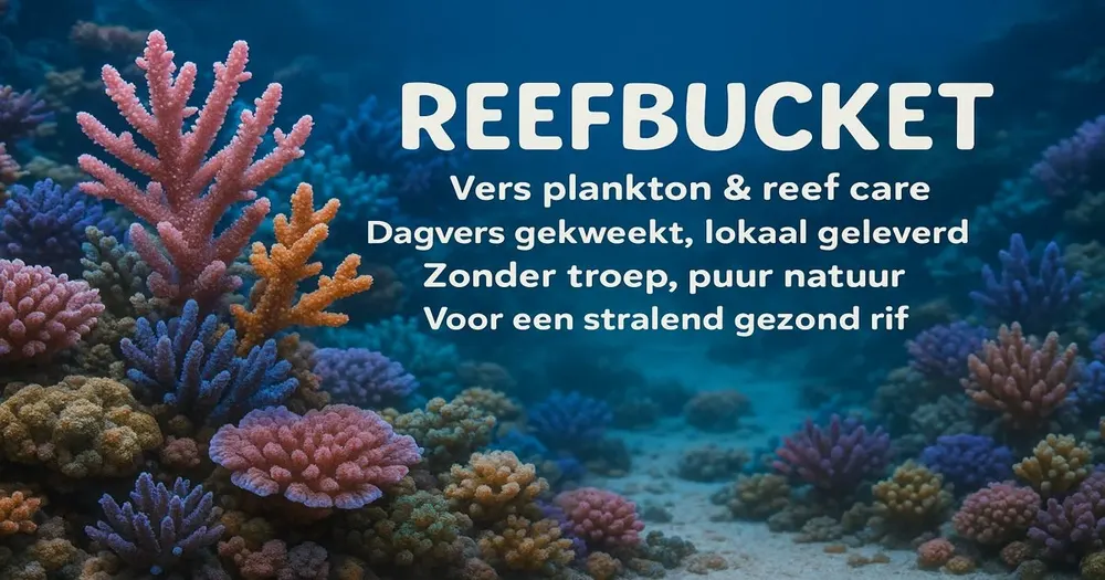 Reefbucket