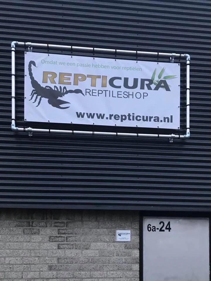 Repticura Reptileshop🦎