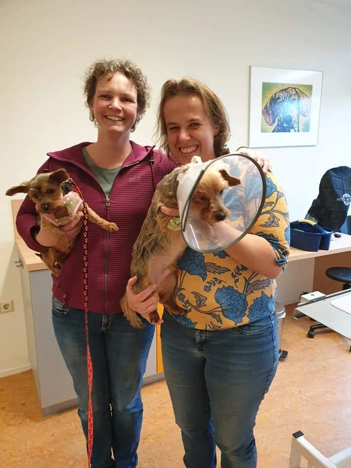 Rijdende Dierendokter
