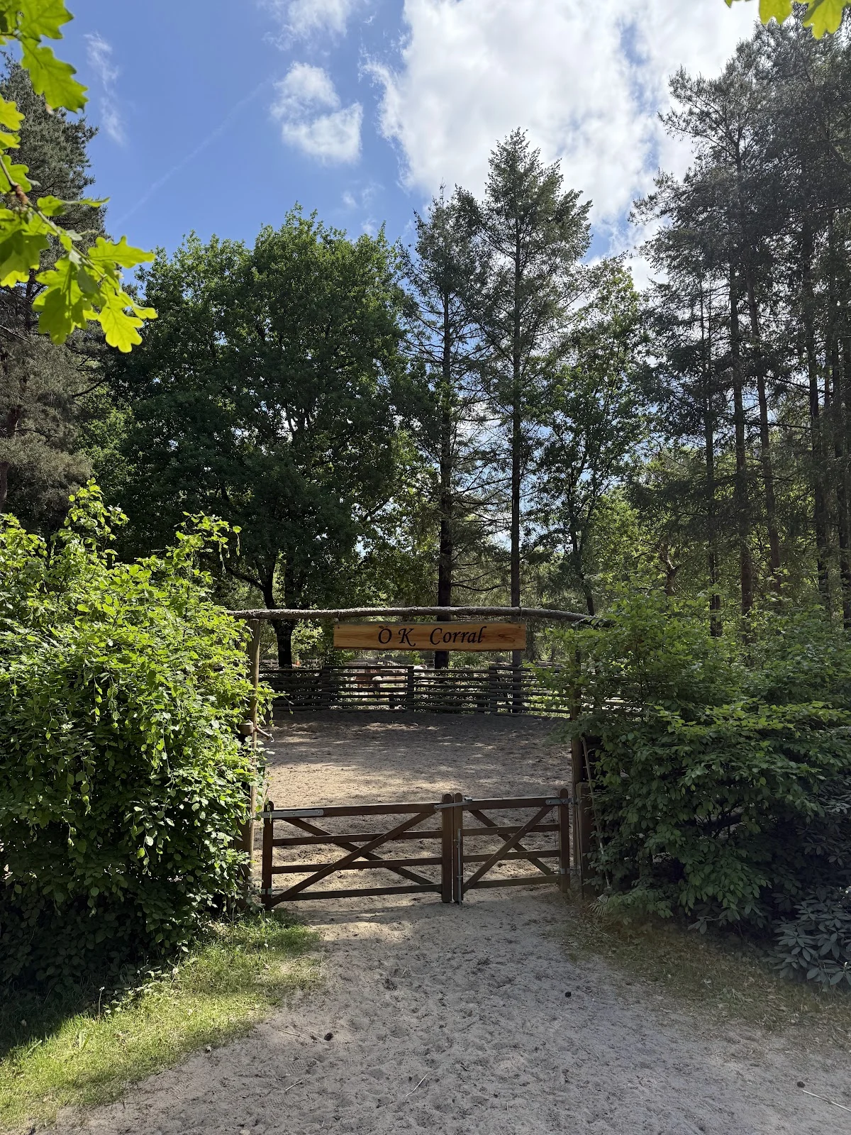 Rijnstone Ranch - 2
