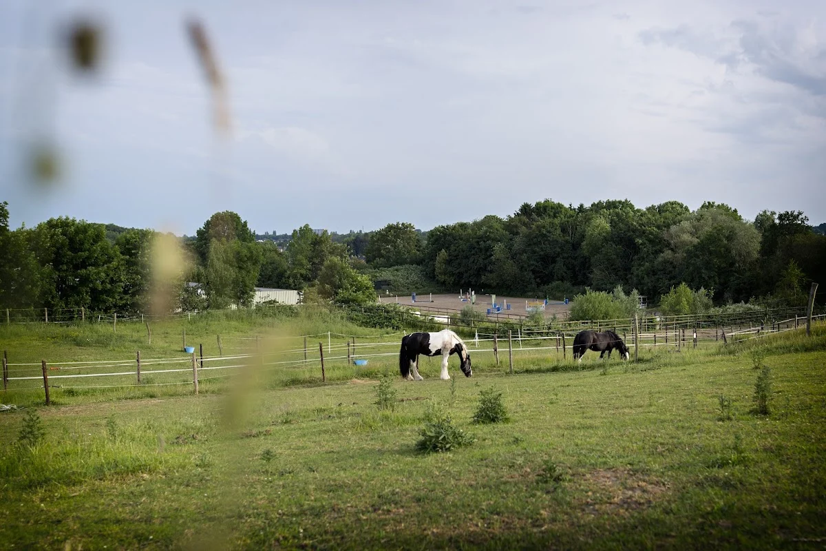 Ruitercentrum Daalderhof 🐎