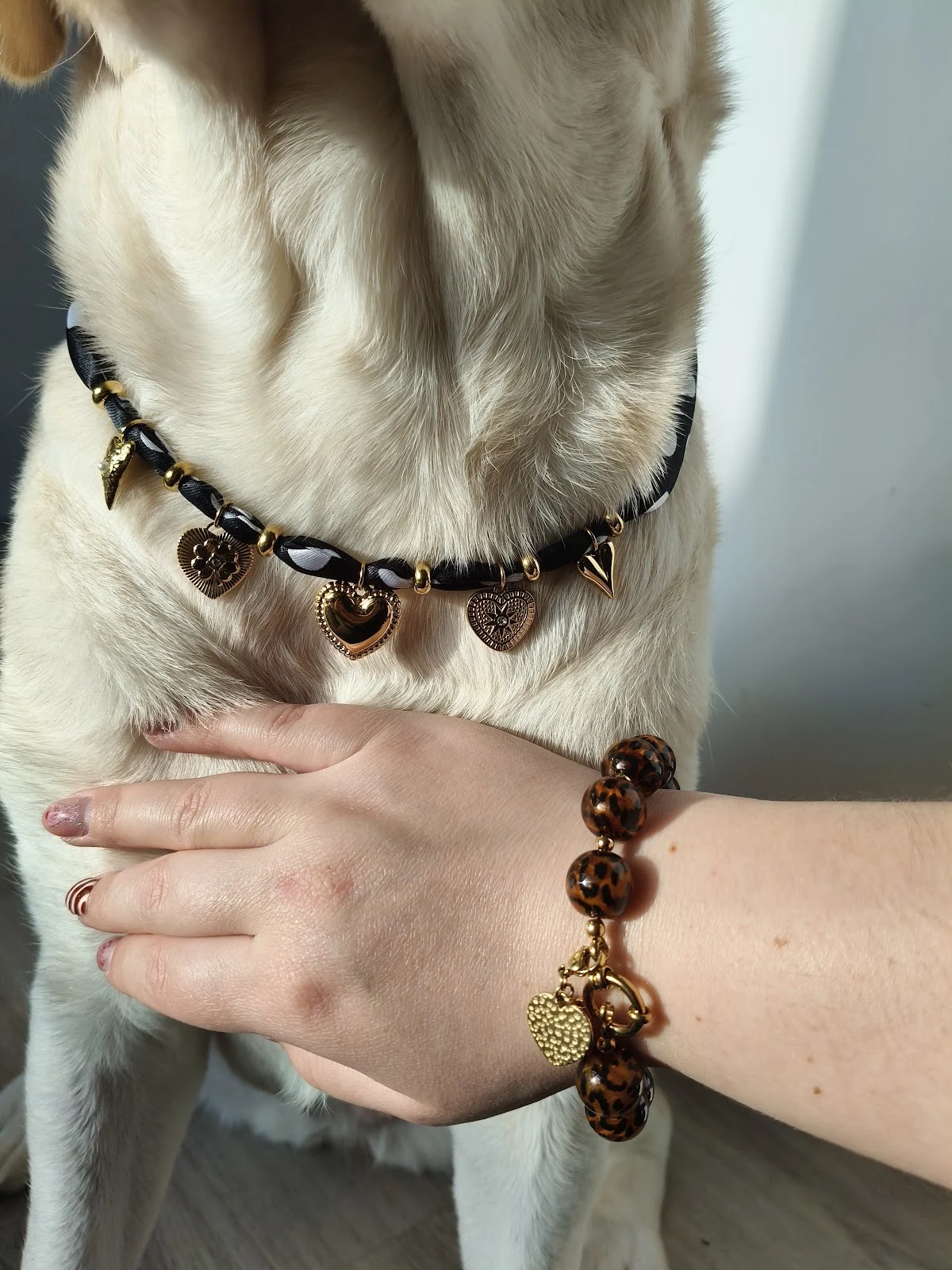 Seasonpaws - 2