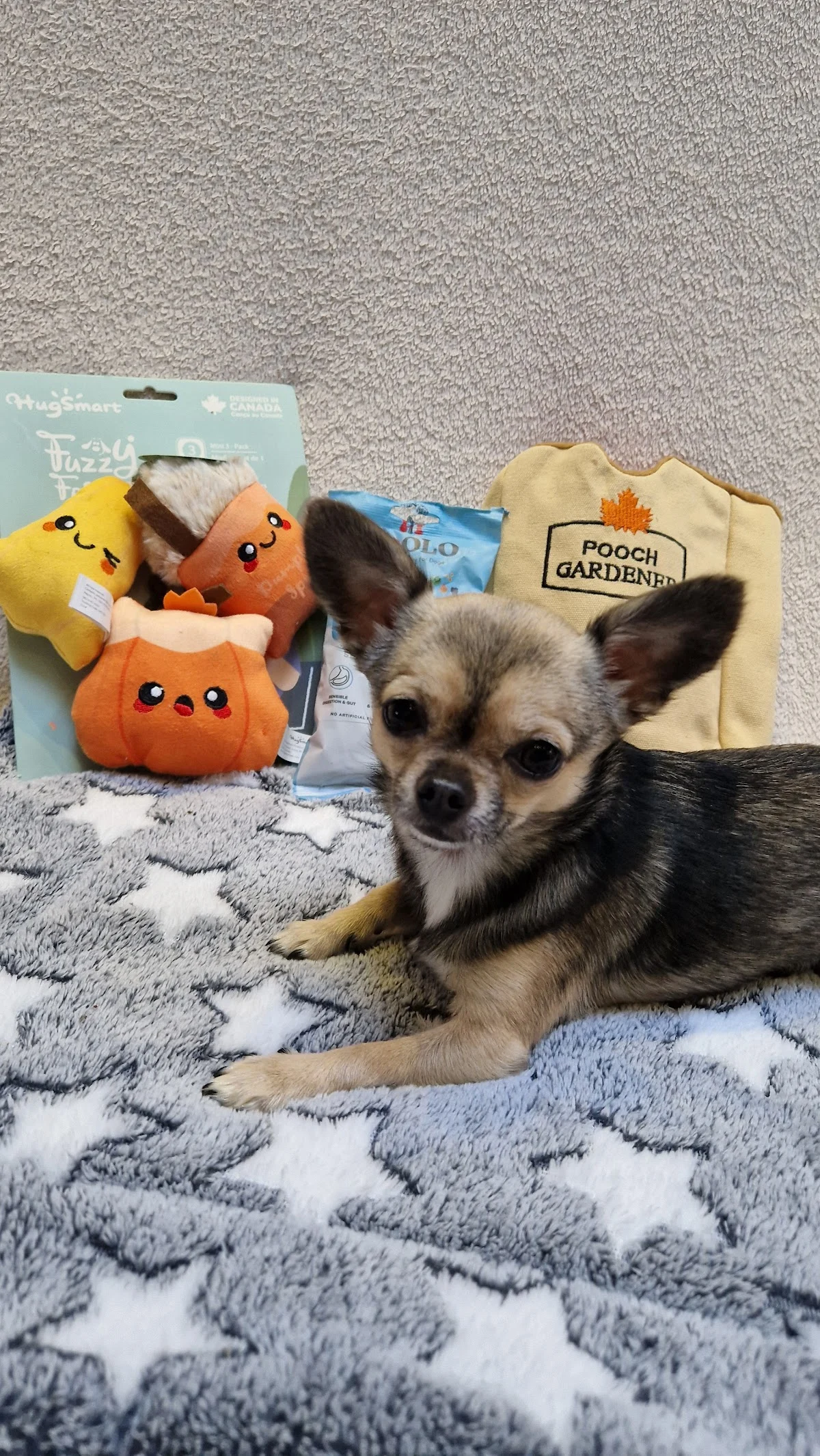 Seasonpaws - 3