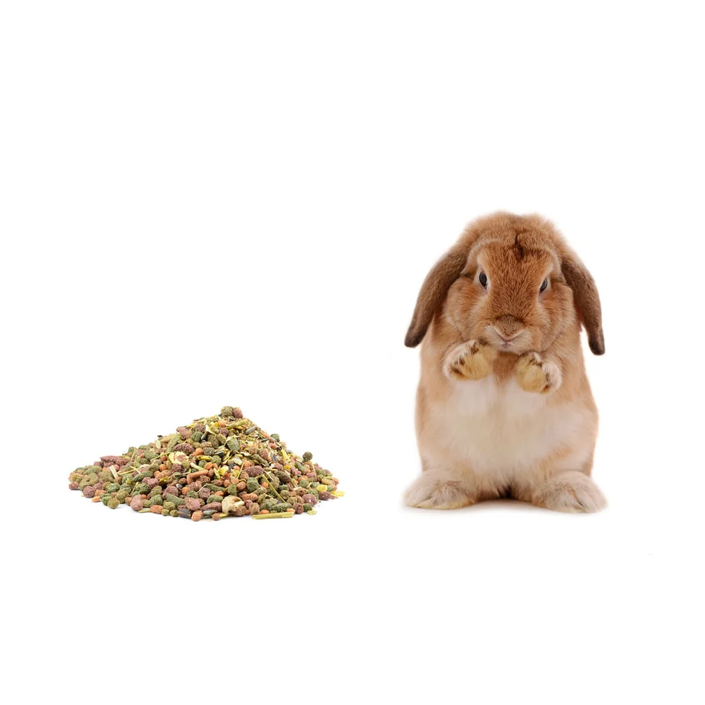 Shop voor Dieren 🐾