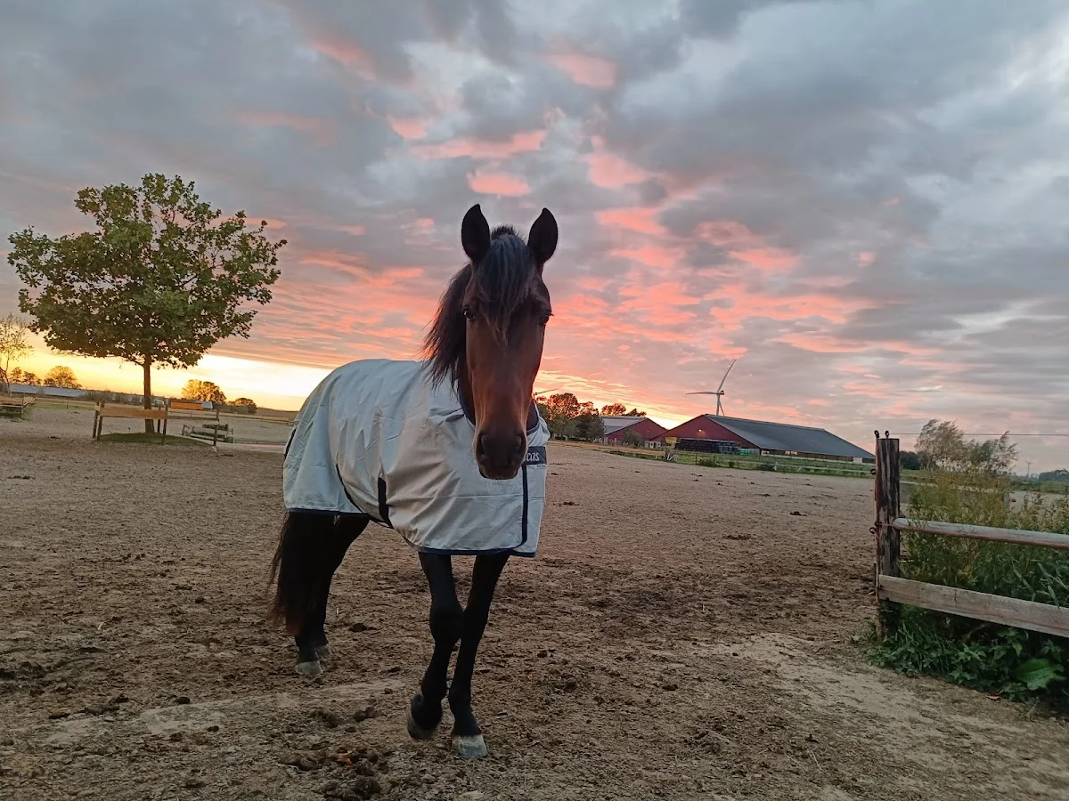 SophieBella
