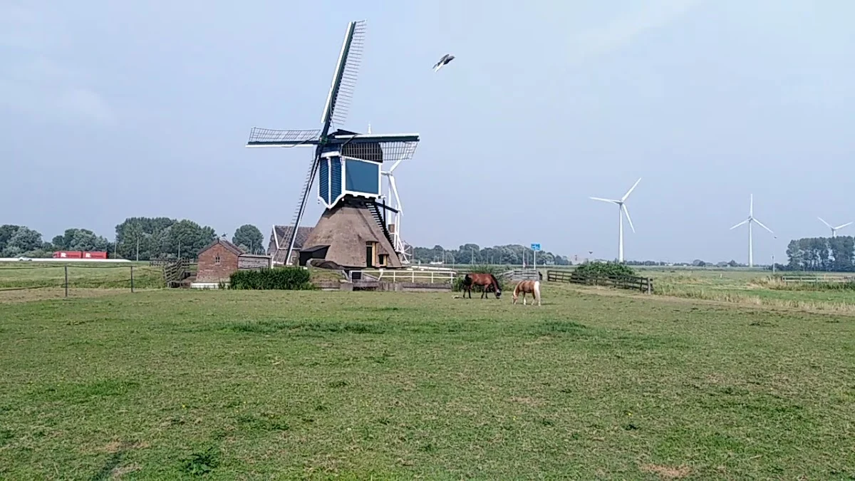 Stal De Nieuwe Uithof