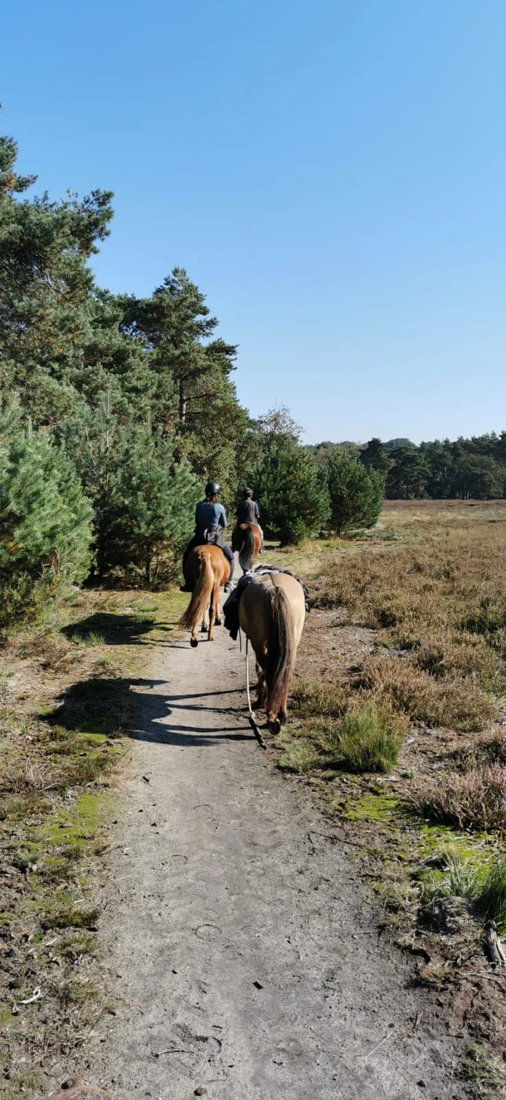 Stal het Loijveld