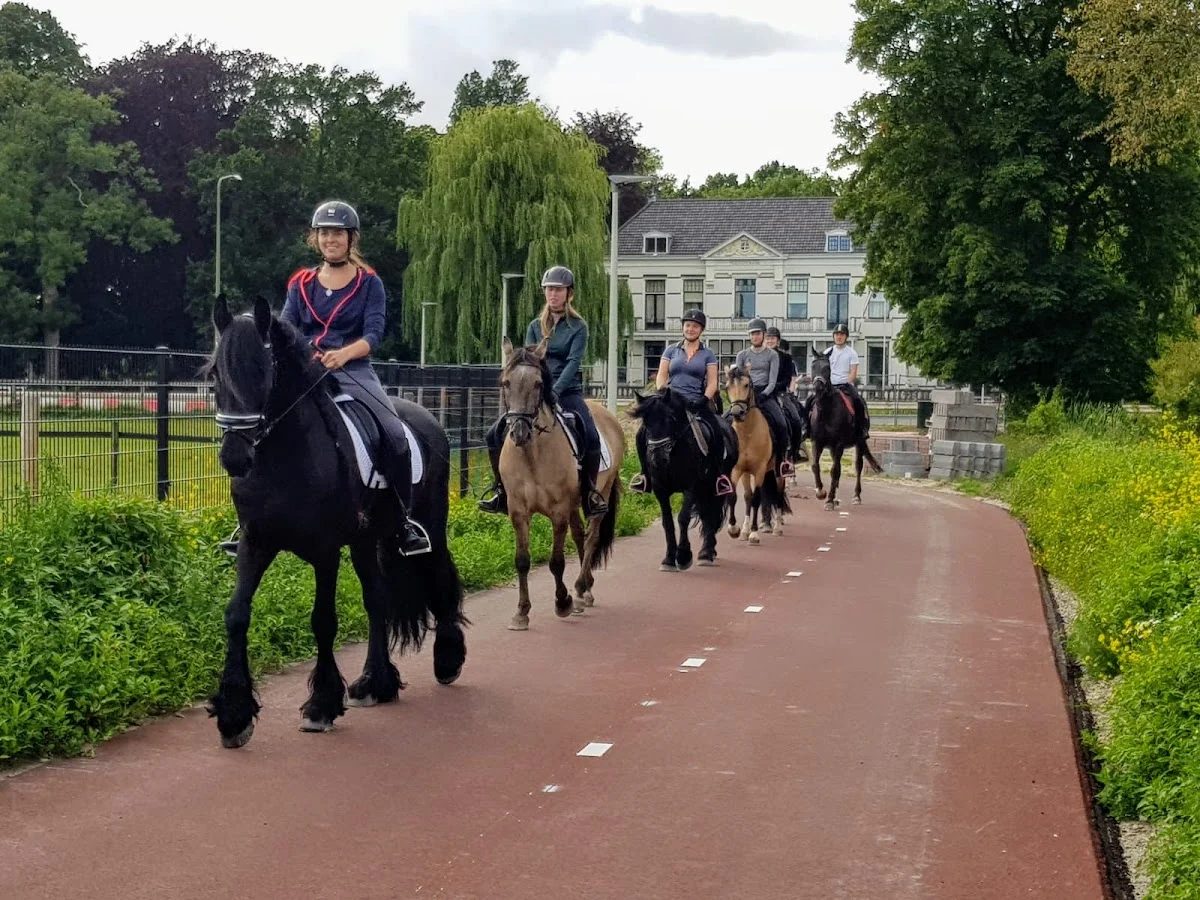 Stal Meyvliet VOF