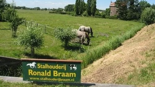 Stalhouderij Braam