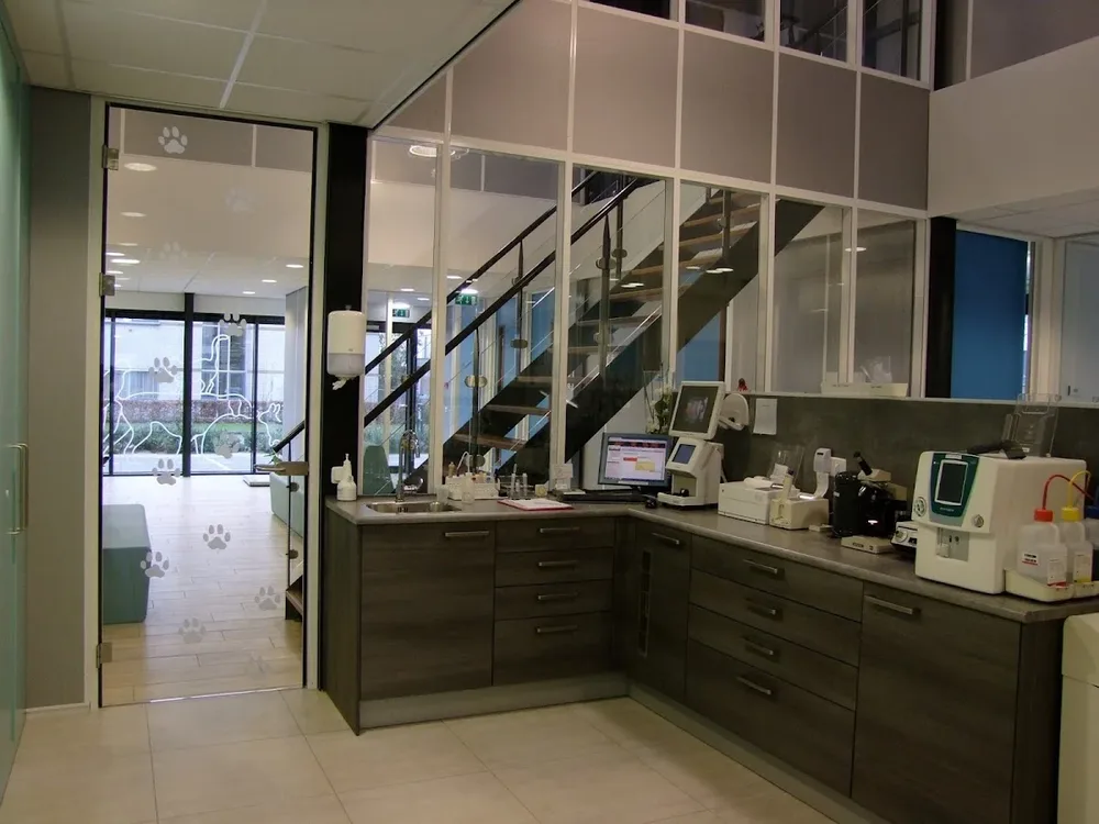 Sterkliniek voor Gezelschapsdieren Kerkewijk - 4