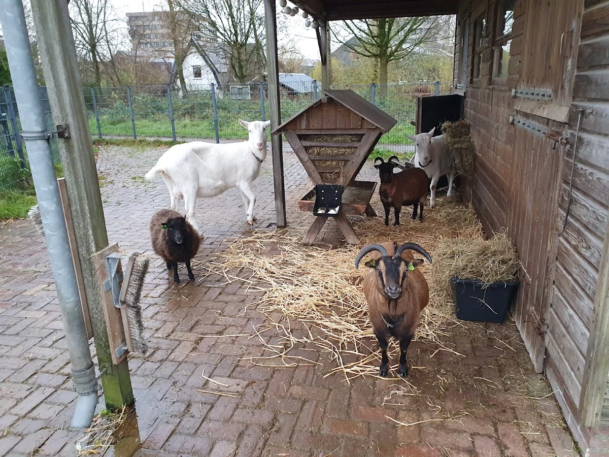 Stichting Dierenweide de Kraal - 3