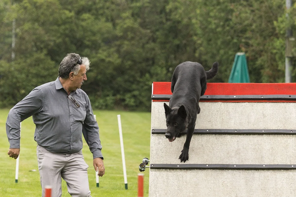 Stichting hondenschool West-Brabant