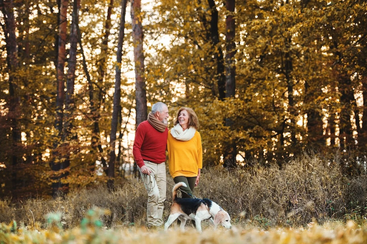 Stichting Pensioenregister - 2
