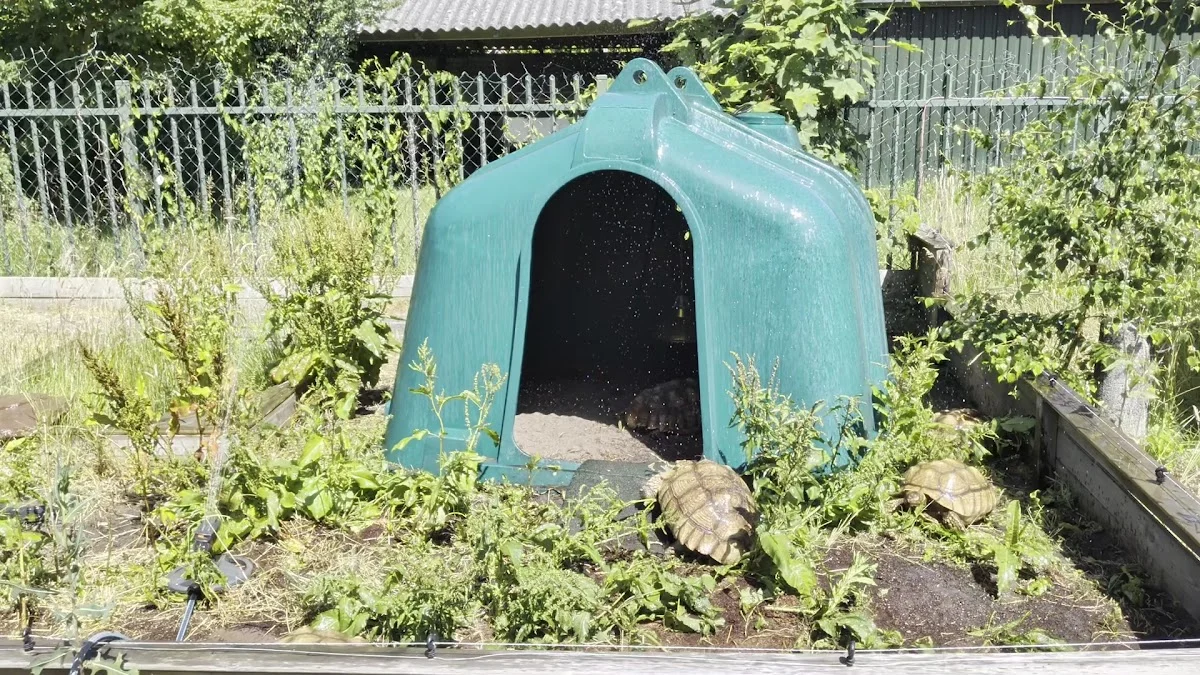 Stichting Schildpaddenopvang Nederland te Harkema - 2