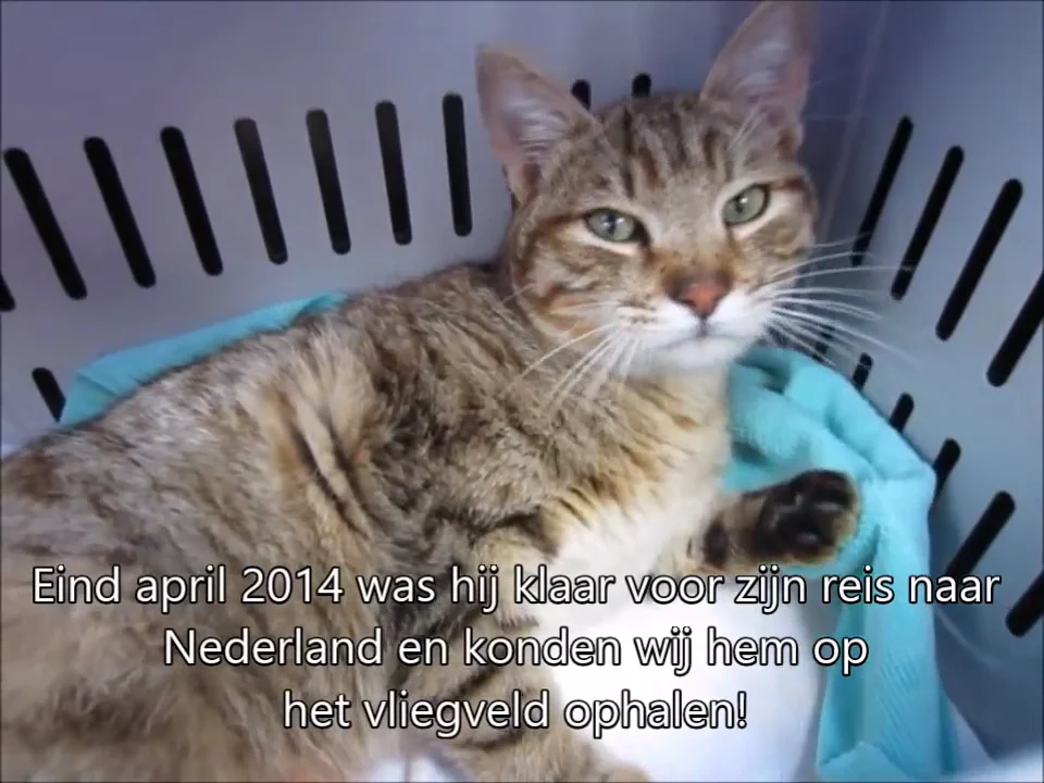 Stichting Villa Vacht - 3